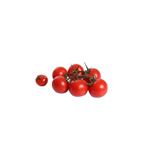 paradajky - rajčiny cherry