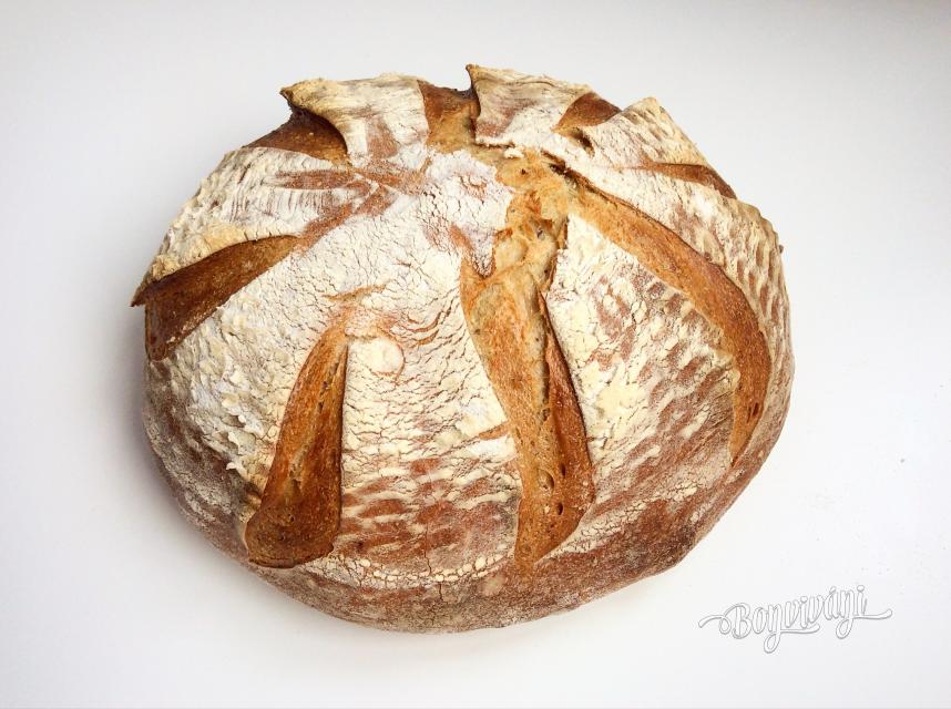 Na ceste za kváskovým chlebom (1) - Ako získať kvások