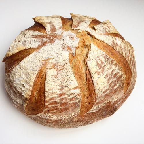 Na ceste za kváskovým chlebom (1) - Ako získať kvások
