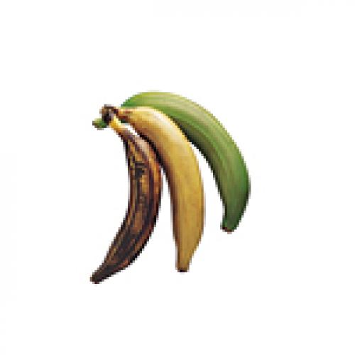 banán plantain